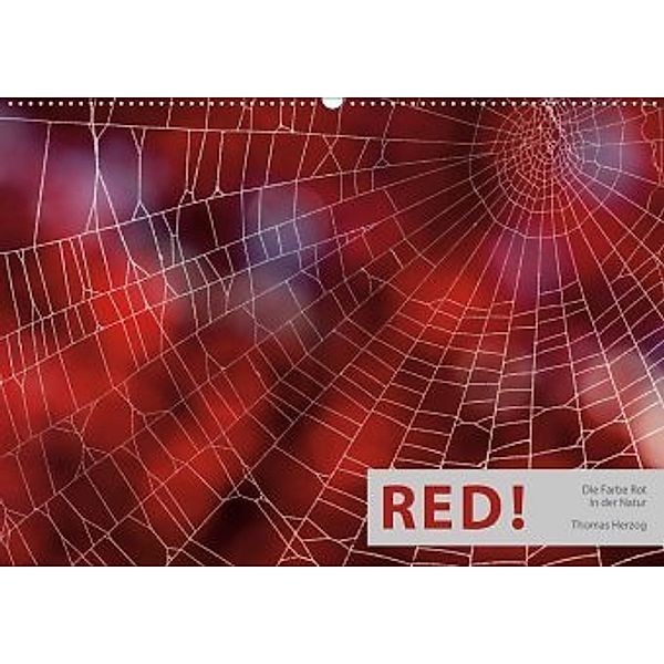 RED! (Wandkalender 2020 DIN A2 quer), Thomas Herzog