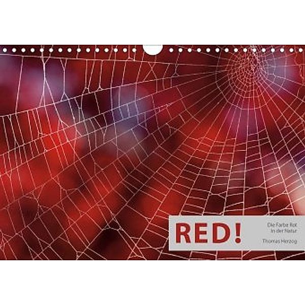 RED! (Wandkalender 2020 DIN A4 quer), Thomas Herzog, www.bild-erzaehler.com