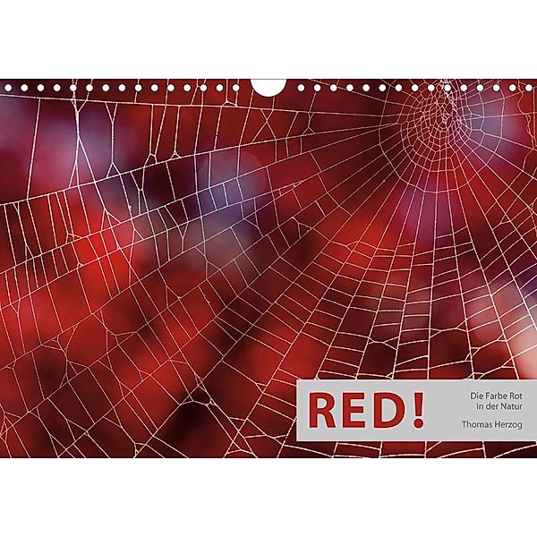RED! (Wandkalender 2021 DIN A4 quer), Thomas Herzog, www.bild-erzaehler.com