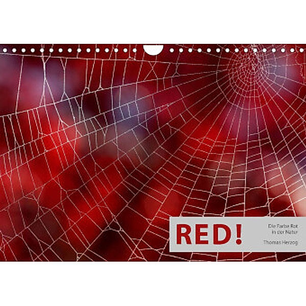RED! (Wandkalender 2022 DIN A4 quer), www.bild-erzaehler.com, Thomas Herzog