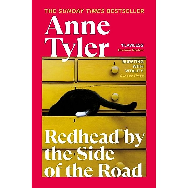 Redhead by the Side of the Road, Anne Tyler