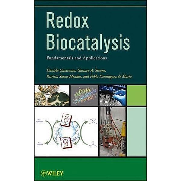 Redox Biocatalysis, Daniela Gamenara, Gustavo Seoane, Patricia Saenz Méndez, Pablo Domínguez de María