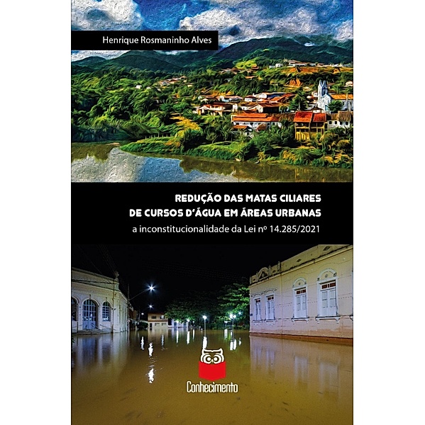Redução de matas ciliares de cursos d'água em áreas urbanas, Henrique Rosmaninho Alves