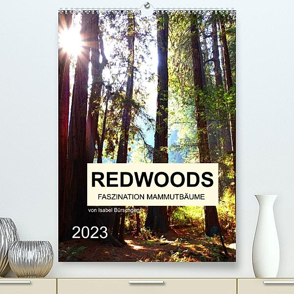 Redwoods - Faszination Mammutbäume (Premium, hochwertiger DIN A2 Wandkalender 2023, Kunstdruck in Hochglanz), Isabel Bürschgens