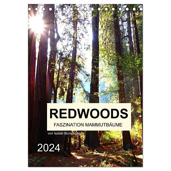 Redwoods - Faszination Mammutbäume (Tischkalender 2024 DIN A5 hoch), CALVENDO Monatskalender, Isabel Bürschgens