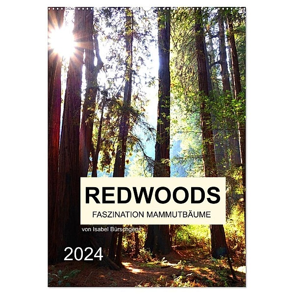 Redwoods - Faszination Mammutbäume (Wandkalender 2024 DIN A2 hoch), CALVENDO Monatskalender, Isabel Bürschgens