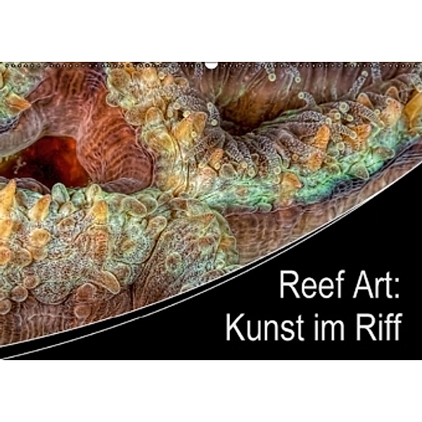 Reef Art: Kunst im Riff (Wandkalender 2016 DIN A2 quer), Henry Jager