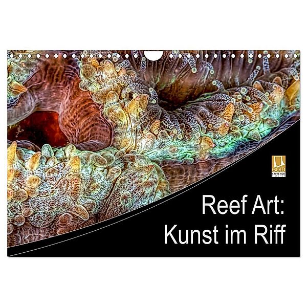 Reef Art - Kunst im Riff (Wandkalender 2024 DIN A4 quer), CALVENDO Monatskalender, Henry Jager