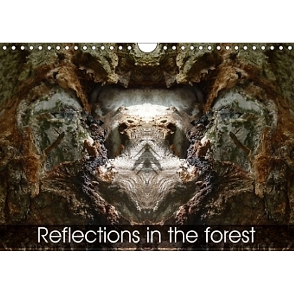 Reflections in the forest (Wall Calendar 2017 DIN A4 Landscape), Elken Schlüfter