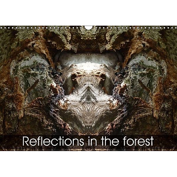 Reflections in the forest (Wall Calendar 2018 DIN A3 Landscape), Elken Schlüfter