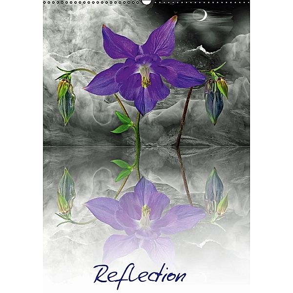 Reflektion (Wandkalender 2014 DIN A2 hoch), Manfred Lutzius