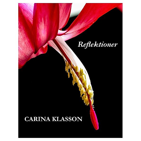 Reflektioner, Carina Klasson