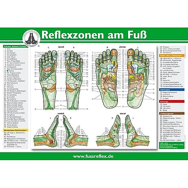 Reflexzonen am Fuß, Poster, Hanne Marquardt