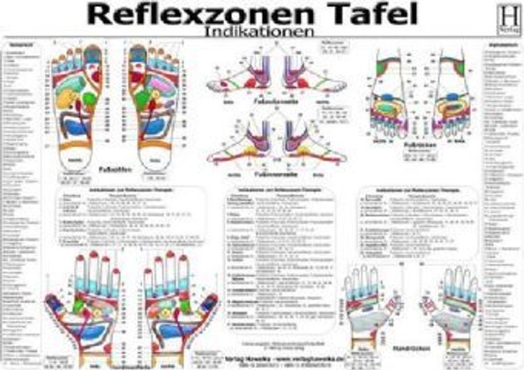 Reflexzonen Indikationen Tafel Buch Versandkostenfrei Bei Weltbild