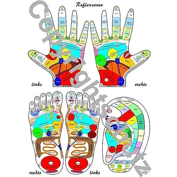 Reflexzonenübersicht - Füße, Hände und Ohr, Tanja Aeckersberg