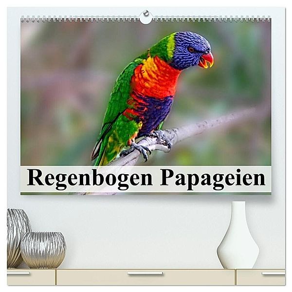Regenbogen Papageien (hochwertiger Premium Wandkalender 2024 DIN A2 quer), Kunstdruck in Hochglanz, Elisabeth Stanzer