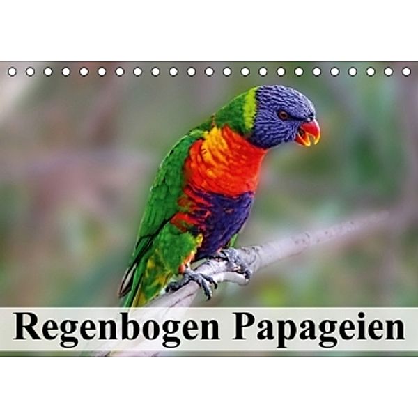 Regenbogen Papageien (Tischkalender 2016 DIN A5 quer), Elisabeth Stanzer