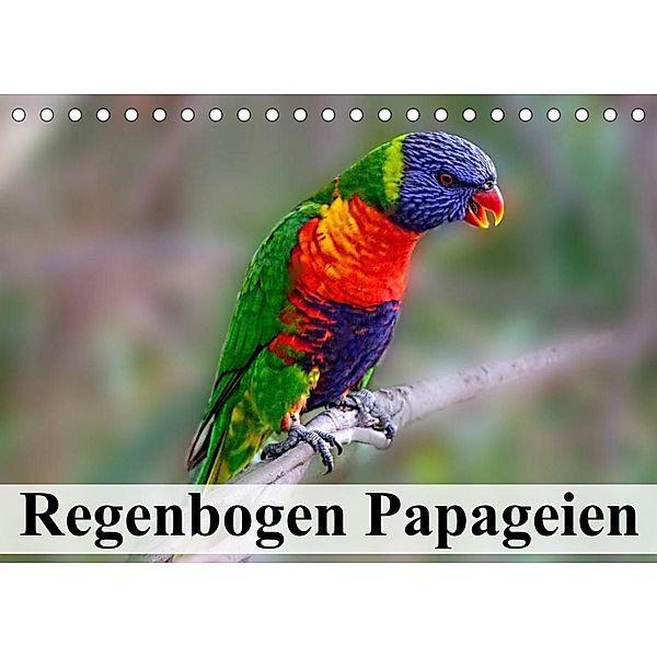 Regenbogen Papageien (Tischkalender 2023 DIN A5 quer), Elisabeth Stanzer