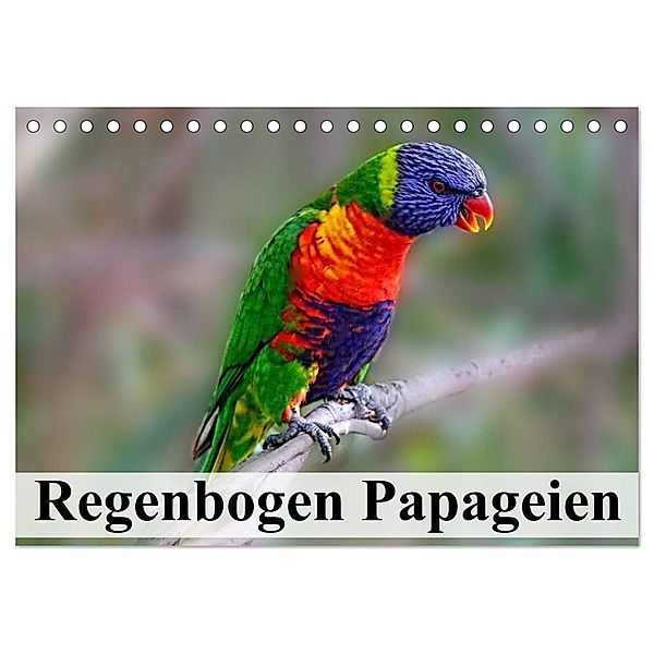 Regenbogen Papageien (Tischkalender 2024 DIN A5 quer), CALVENDO Monatskalender, Elisabeth Stanzer