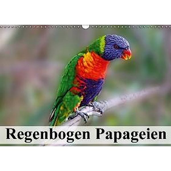 Regenbogen Papageien (Wandkalender 2016 DIN A3 quer), Elisabeth Stanzer