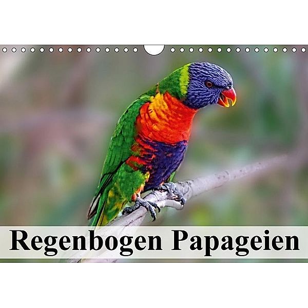 Regenbogen Papageien (Wandkalender 2017 DIN A4 quer), Elisabeth Stanzer