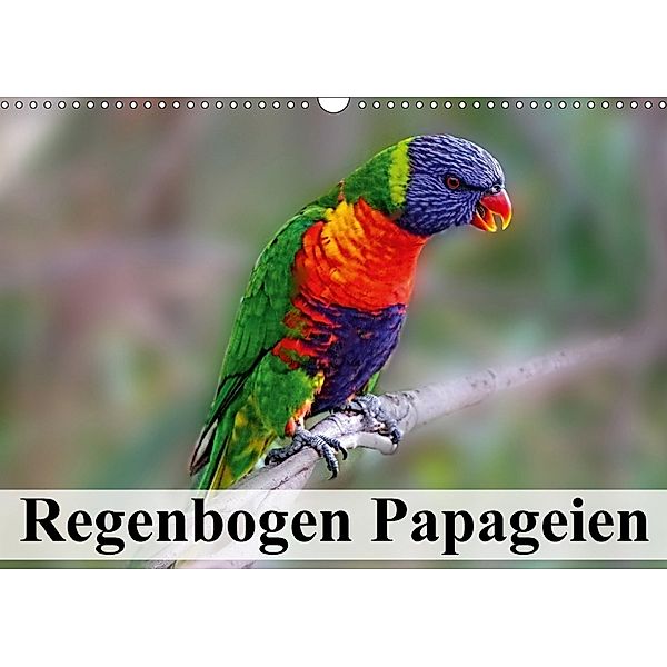 Regenbogen Papageien (Wandkalender 2018 DIN A3 quer), Elisabeth Stanzer