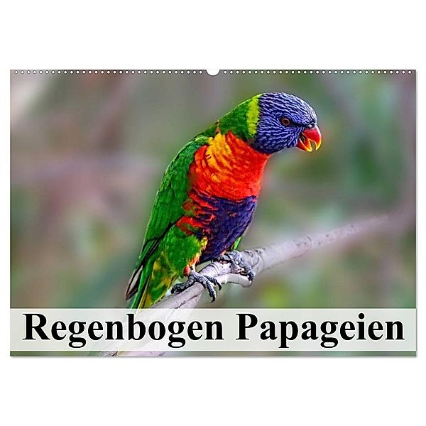 Regenbogen Papageien (Wandkalender 2024 DIN A2 quer), CALVENDO Monatskalender, Elisabeth Stanzer