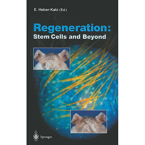Regeneration: Stem Cells and Beyond
