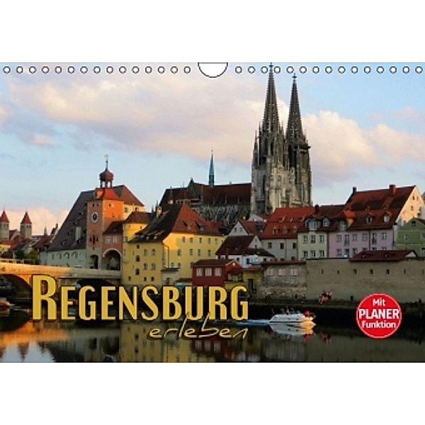 Regensburg erleben (Wandkalender 2016 DIN A4 quer), Renate Bleicher