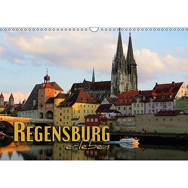 Regensburg erleben (Wandkalender 2018 DIN A3 quer), Renate Bleicher