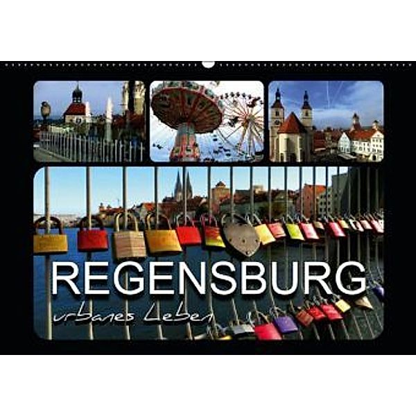 REGENSBURG - urbanes Leben (Wandkalender 2015 DIN A2 quer), Renate Bleicher