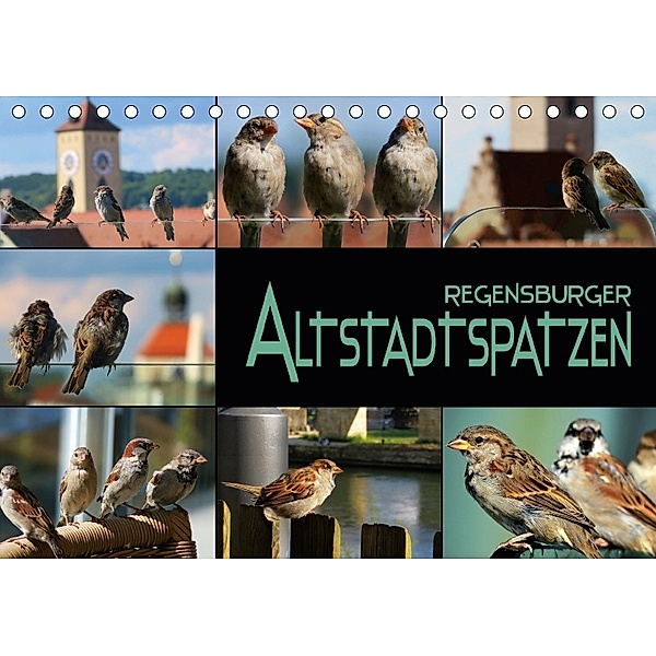 Regensburger Altstadtspatzen (Tischkalender 2018 DIN A5 quer), Renate Bleicher