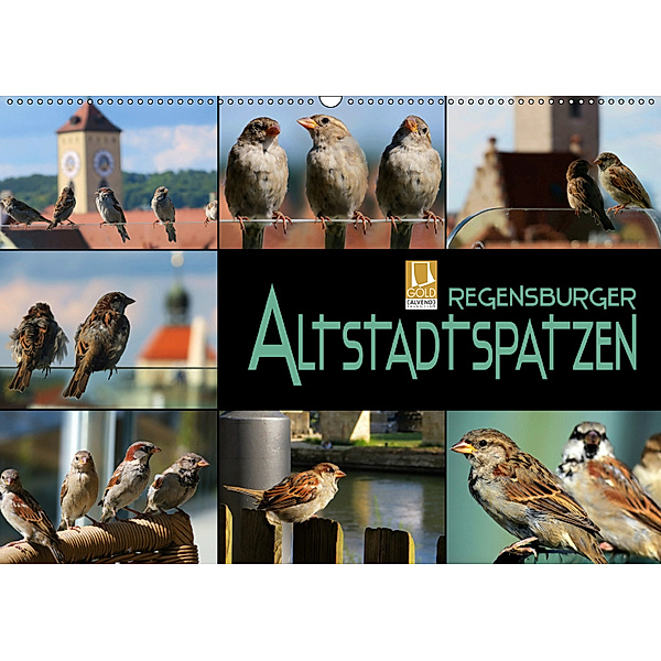 Regensburger Altstadtspatzen (Wandkalender 2019 DIN A2 quer), Renate Bleicher