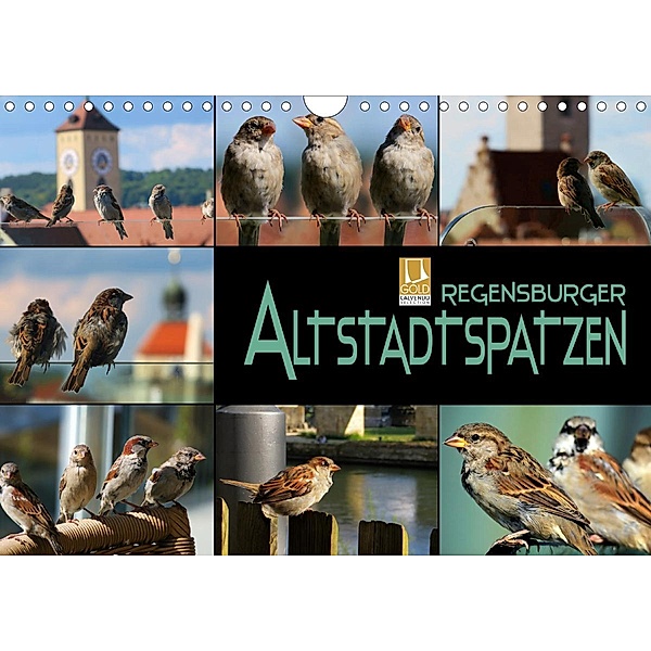 Regensburger Altstadtspatzen (Wandkalender 2020 DIN A4 quer), Renate Bleicher