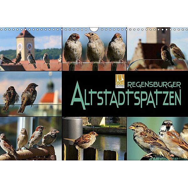 Regensburger Altstadtspatzen (Wandkalender 2021 DIN A3 quer), Renate Bleicher