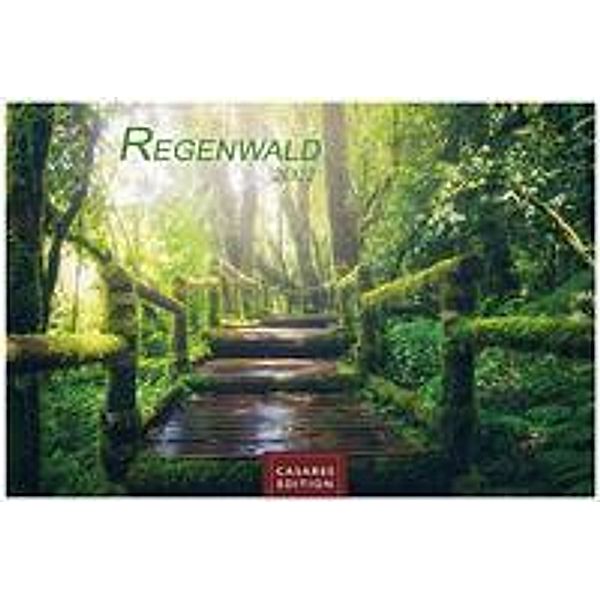 Regenwald 2022 L