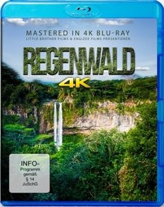 Image of Regenwald 4K