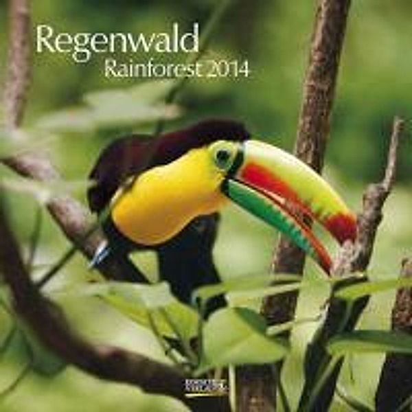 Regenwald, Broschürenkalender 2014