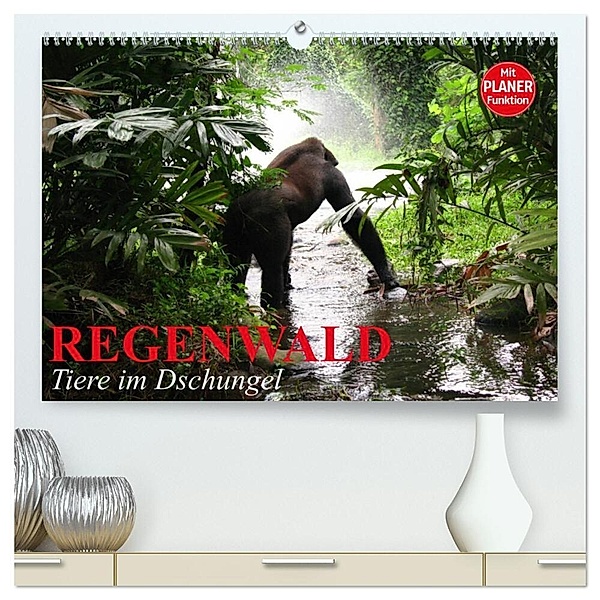 Regenwald. Tiere im Dschungel (hochwertiger Premium Wandkalender 2024 DIN A2 quer), Kunstdruck in Hochglanz, Elisabeth Stanzer