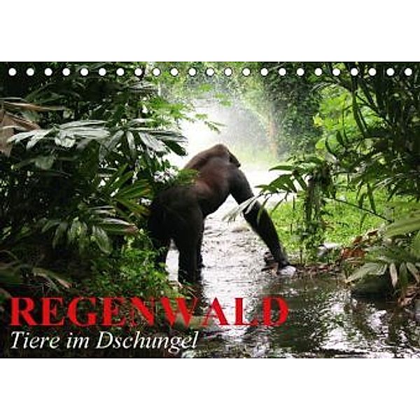 Regenwald Tiere im Dschungel (Tischkalender 2015 DIN A5 quer), Elisabeth Stanzer