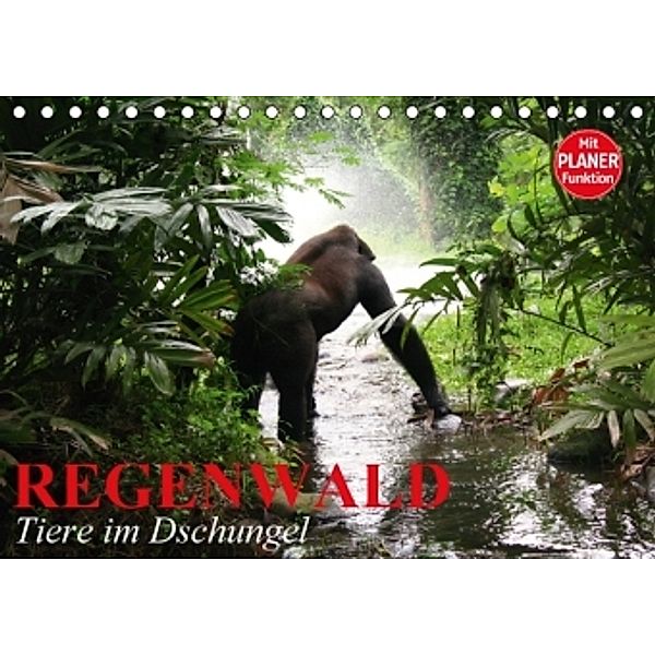 Regenwald. Tiere im Dschungel (Tischkalender 2016 DIN A5 quer), Elisabeth Stanzer