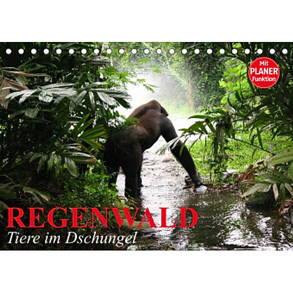 Regenwald. Tiere im Dschungel (Tischkalender 2022 DIN A5 quer), Elisabeth Stanzer