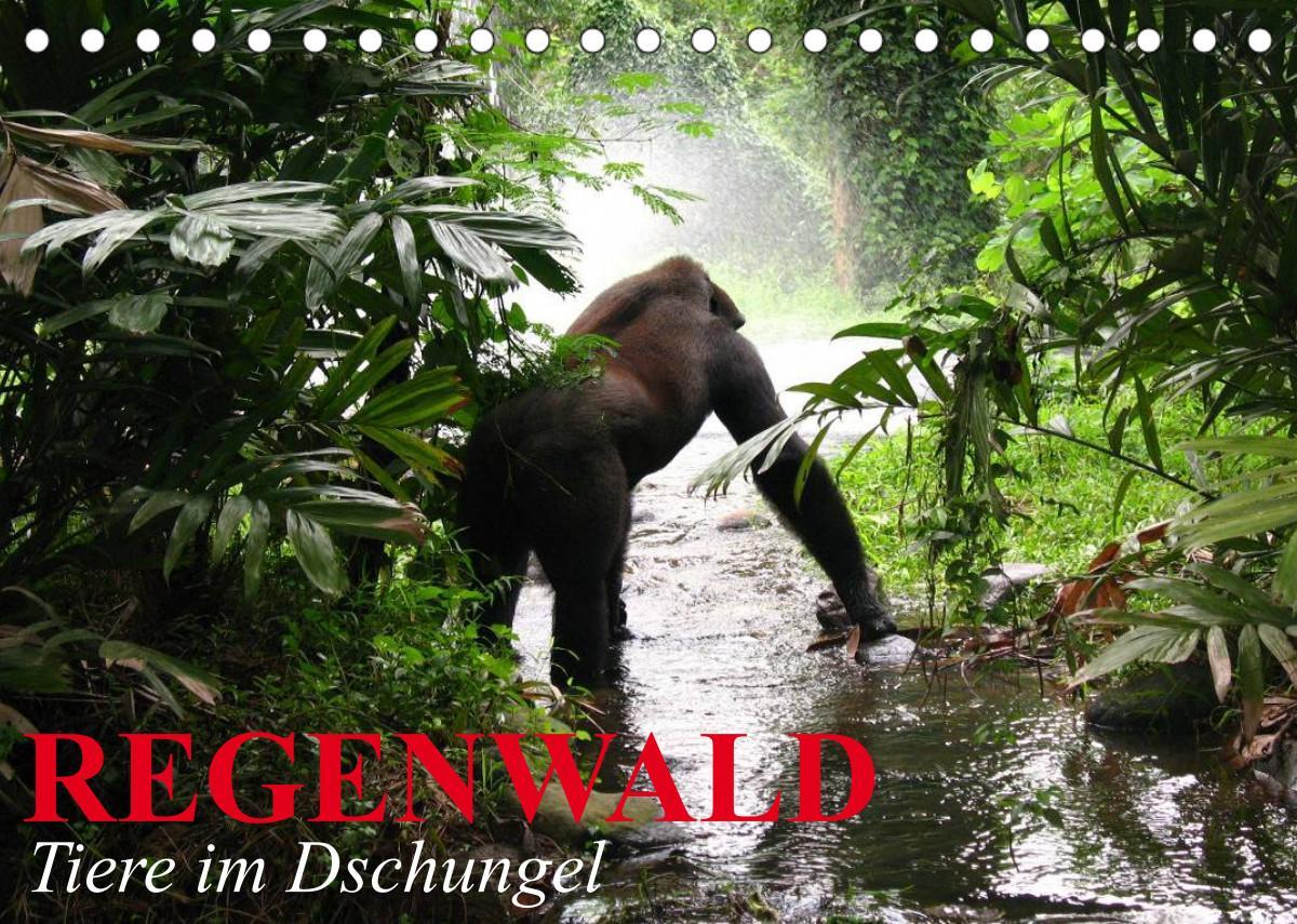 Regenwald - Tiere im Dschungel (Tischkalender 2023 DIN A5 quer)