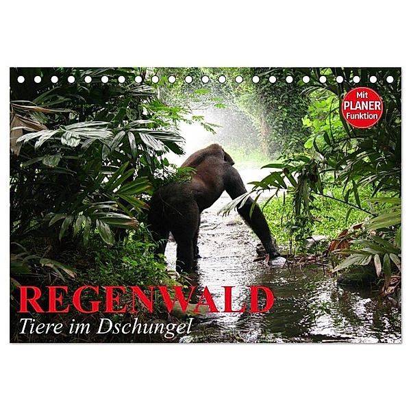 Regenwald. Tiere im Dschungel (Tischkalender 2024 DIN A5 quer), CALVENDO Monatskalender, Elisabeth Stanzer