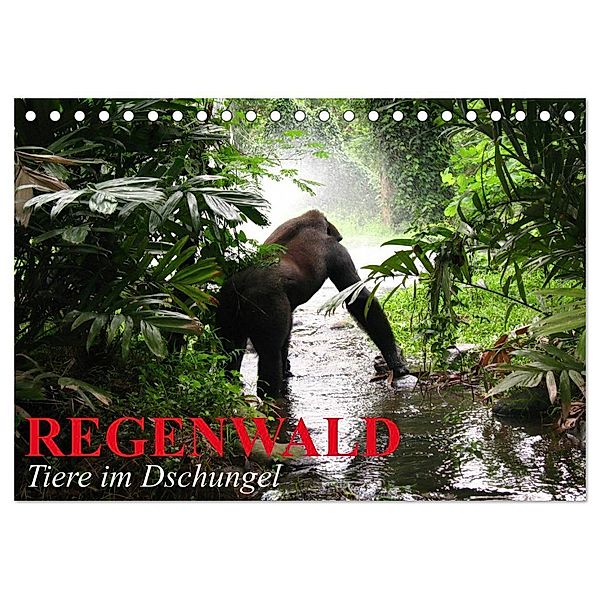 Regenwald - Tiere im Dschungel (Tischkalender 2025 DIN A5 quer), CALVENDO Monatskalender, Calvendo, Elisabeth Stanzer