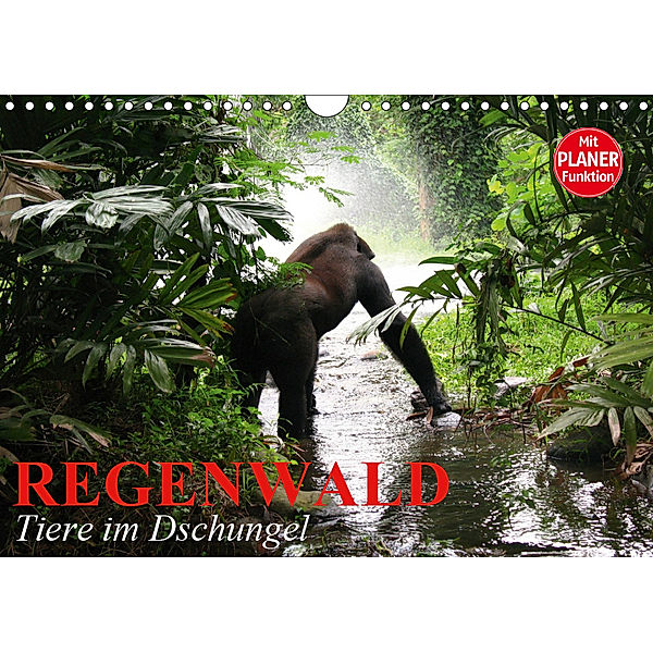 Regenwald. Tiere im Dschungel (Wandkalender 2019 DIN A4 quer), Elisabeth Stanzer