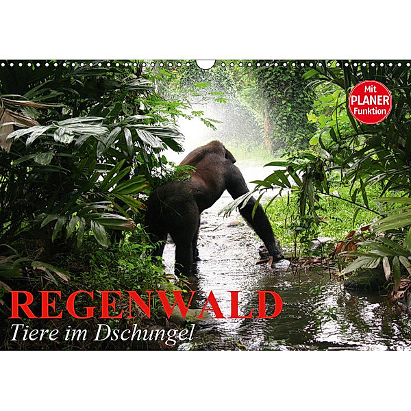 Regenwald. Tiere im Dschungel (Wandkalender 2019 DIN A3 quer), Elisabeth Stanzer