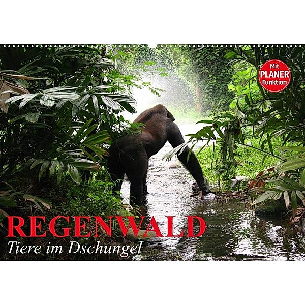 Regenwald. Tiere im Dschungel (Wandkalender 2023 DIN A2 quer), Elisabeth Stanzer