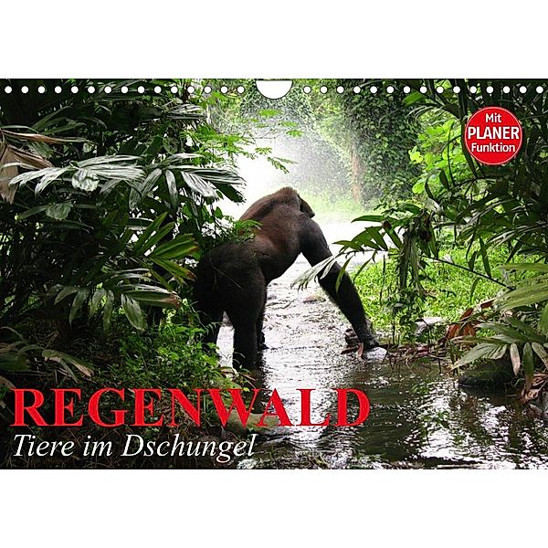 Regenwald. Tiere im Dschungel (Wandkalender 2023 DIN A4 quer), Elisabeth Stanzer