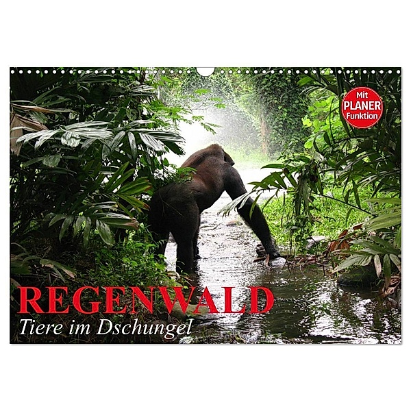 Regenwald. Tiere im Dschungel (Wandkalender 2024 DIN A3 quer), CALVENDO Monatskalender, Elisabeth Stanzer